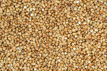 Organic dry buckwheat grains consisting of raw natural product