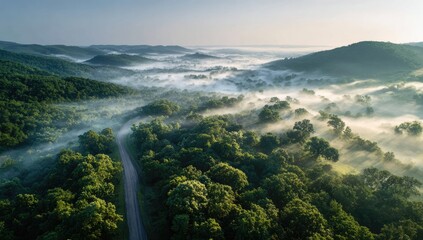 Misty morning valley road
