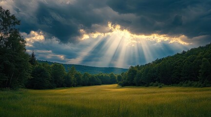 Sunbeams pierce storm clouds over a meadow