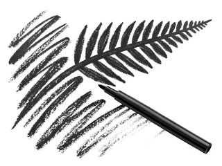 Pencil drawing of a fern frond on a black background