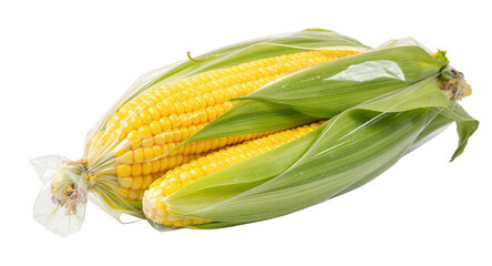 Fresh Sweetcorn in Packaging Healthy Organic Vegetable Food Photography