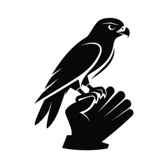 Silhouette of a falcon perched on a gloved hand against a clean white background