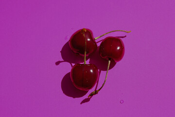 On a vibrant purple background, creating a rich contrast, three fresh red sweet cherries are...