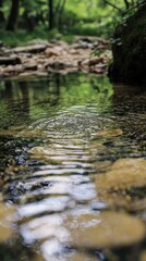 Obraz premium Ripples on tranquil forest stream, clear water, sunlight.