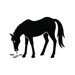 Elegant horse drinking water silhouette on a clean white background for food and drink designs