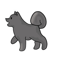 dog