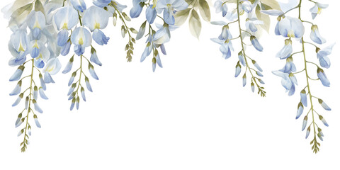 Delicate wisteria blooms hanging down isolated on transparent background
