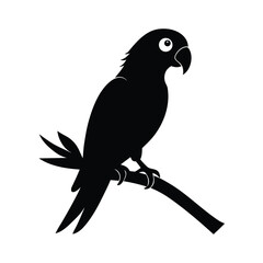 Elegant parrot silhouette perched on a branch against a clean white background