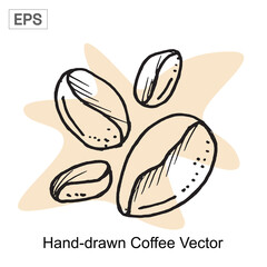 Hand-drawn Coffee Beans Roasted and Ready