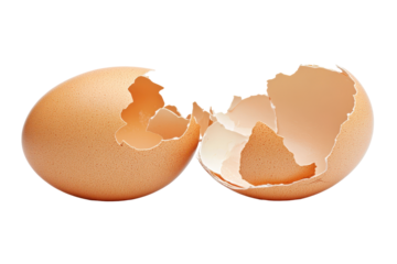 Broken eggshell halves isolated on transparent background. Empty broken egg shell isolated on white background.