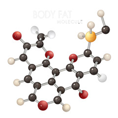 Molecular structure representing body fat composition and metabolism science