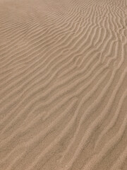 Textured Sand Patterns in Desert