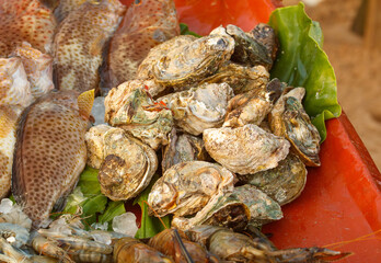 A pile of oysters on a red tray