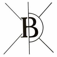 Bold Bitcoin Logo Icon