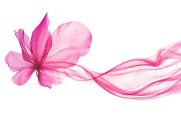 Elegant pink flower with flowing fabric isolated on transparent background. Flying pink petals isolated on white background.