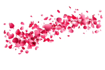 Swirling cluster of pink flower petals in motion isolated on transparent background. Flying pink petals isolated on white background.
