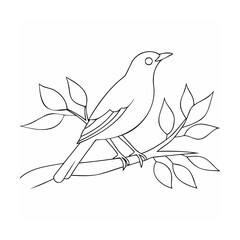 Bird perched on a branch with leaves nature wildlife