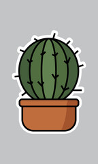 Cactus succulent in pot, cartoon flat style. Cute stylized potted succulent. Cacti isolated for sticker, greeting card, botanical designs, home decor themes
