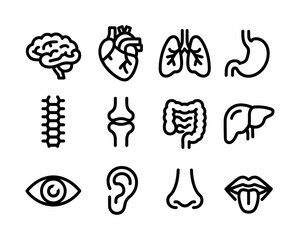 Human Body Parts Icons Vector Design