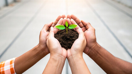 Hands Protecting Plant background concept