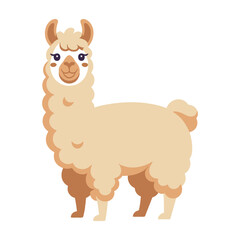 Llama vector illustration on white background.
