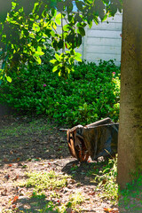 A rustic wooden garden cart stands under leafy foliage, with light fabric draped over its side.