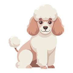 Poodle Dog, vector illustration on white background.