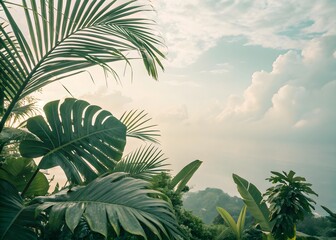 Lush foliage frames a soft, cloudy sky above hazy hillsides