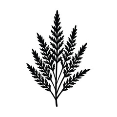 Heather Botanical Plant Silhouette Vector For Natural Design