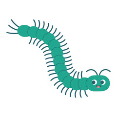 Centipede vector illustration on white background.