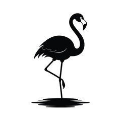 Elegant flamingo standing on one leg in calm water silhouette design