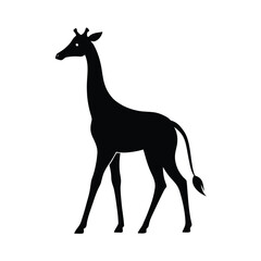 Elegant silhouette of a giraffe walking slowly on a clean white background for design projects