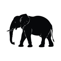 Elephant Silhouette