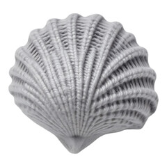Detailed Gray Seashell with Textured Surface