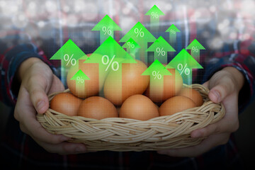 basket of fresh eggs with green upward arrows and percentage signs, conceptual image for economic growth, price hike, and financial market trends in the food industry