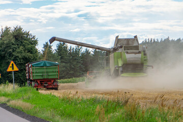 Fototapeta premium Grain harvester unloading into a tractor trailer during summer harvest in the countryside. Dust rising from the field, forest in the background