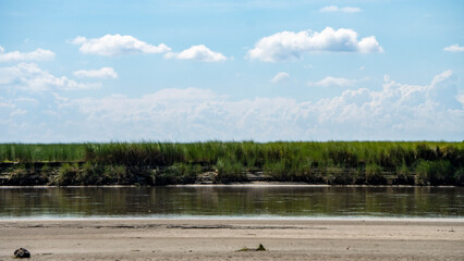 Beautiful sub-tropical Brahmaputra river bank with grass canopy and cloudscape in the background 1