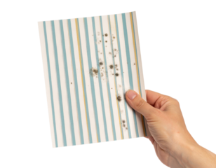A hand holds a striped paper with visible mold spots, highlighting damage and contamination on the surface.