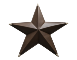 3D Brown Star with White Tips