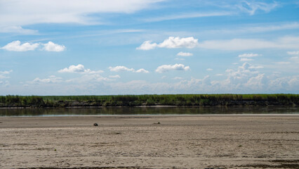Beautiful sub-tropical Brahmaputra river bank with grass canopy and cloudscape in the background full frame 2
