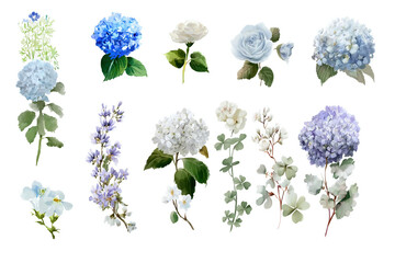 Watercolour floral illustration set. Blue white flowers green leaves individual elements collection. Hydrangea, myosotis, rose, peony, eucalyptus. Wedding invitation, prints fashion, bouquet, pattern.