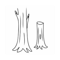 Tall tree trunk and stump wood forest