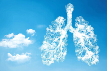 Top-Down View of Salmon with Cherry Tomatoes