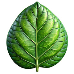 3D Macro Shot of Large Green Leaf with Intricate Veins and Textures on transparent background