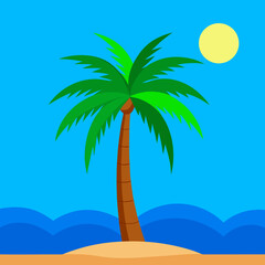 palm tree on the beach