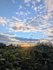 A vibrant sunset over a countryside hedgerow, with lush green foliage in the foreground and a dramatic sky filled with scattered clouds. A peaceful rural scene. 