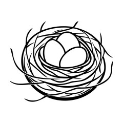 Bird nest with eggs nature wildlife