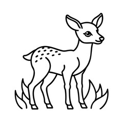 Spotted fawn standing in grass deer meadow