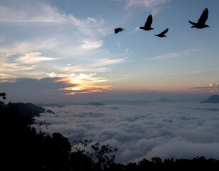Birds Flying Over Minimalist Sunset Hills