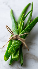 Overhead of Fresh Aloe Vera Bundle Tied with Twine on Minimal White Marble Kitchen